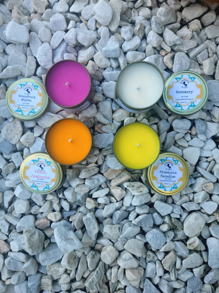 Summertime Favorites